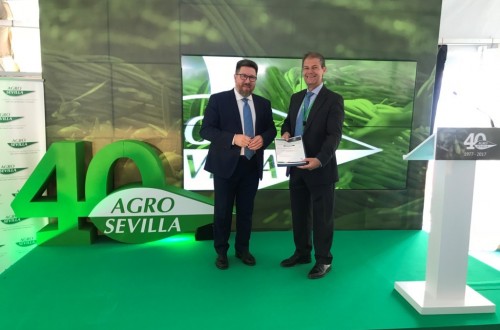 Agro Sevilla, cuatro décadas liderando la producción de aceitunas de mesa