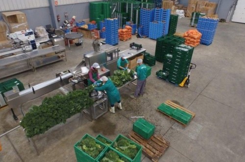 Las cooperativas agro-alimentarias españolas facturaron 30.992 M€ durante 2016