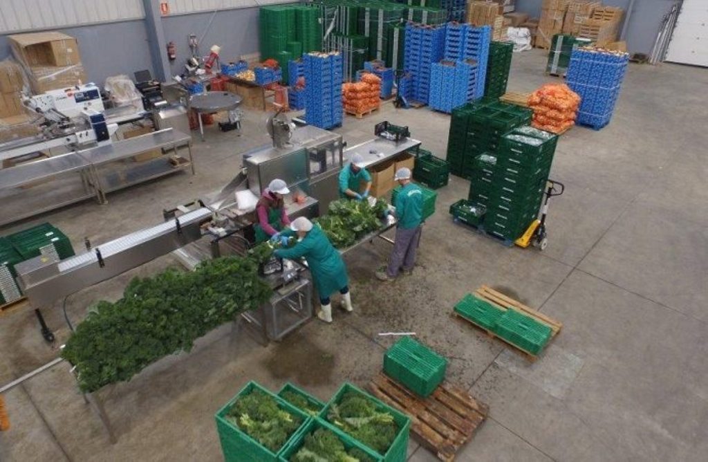 Las cooperativas agro-alimentarias españolas facturaron 30.992 M€ durante 2016