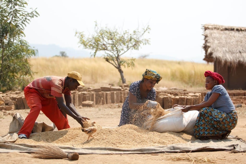 Estabilidad en el índice de precios mundiales de los alimentos básicos de la FAO en abril