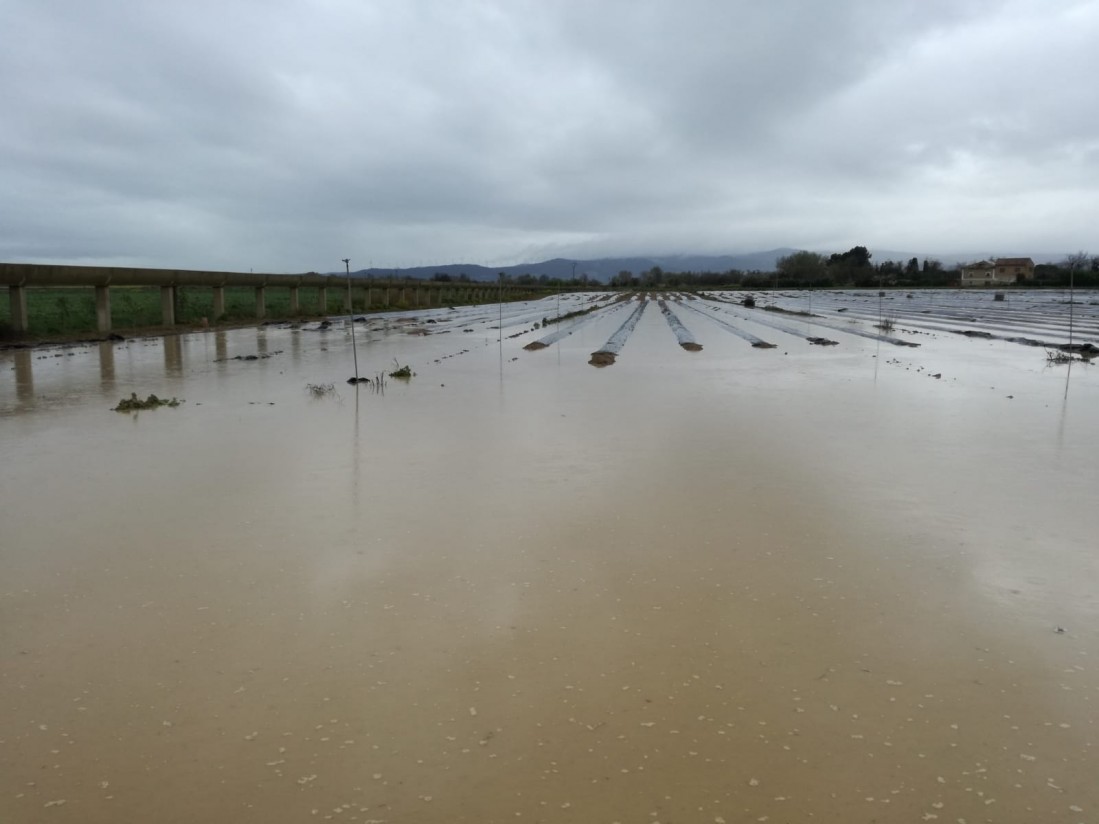 Inversión pública para reparar daños en producciones e infraestructuras agrarias por la riada del Ebro