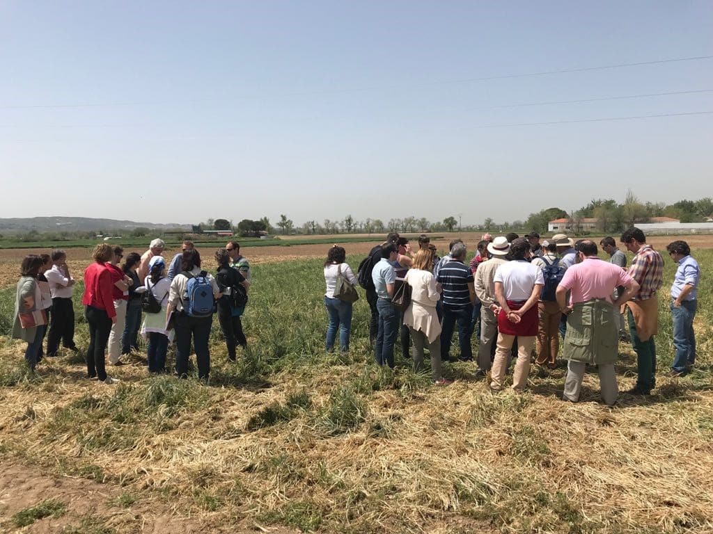 ICL Specialty Fertilizers participa en la 16ª reunión de la Red de Uso Eficiente del Nitrógeno en Agricultura