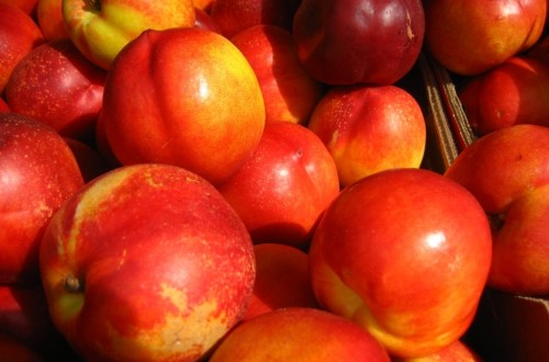 Cooperativas prevé un descenso del 9% en la cosecha de fruta de hueso, hasta 1,8 Mt en 2018/19
