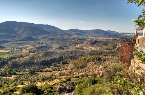 La producción comunitaria de aceite de oliva se prevé en 2,16 Mt en 2017/18