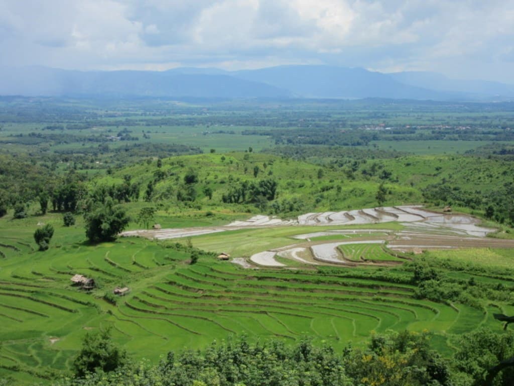 Bruselas inicia una larga investigación sobre importaciones al mercado UE de arroz de Camboya y Birmania