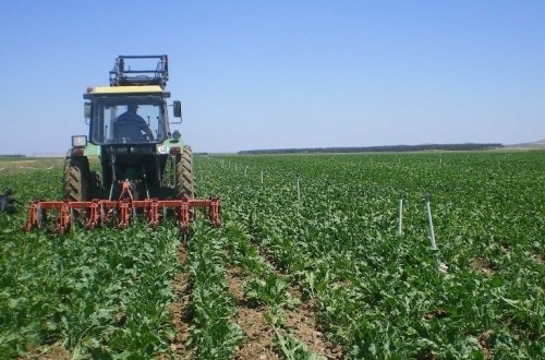 Los excedentes de azúcar a bajo precio de grandes productores de la UE acaban en los países del Sur