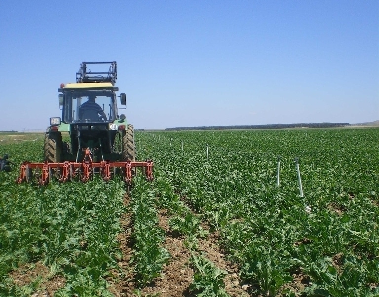 Los excedentes de azúcar a bajo precio de grandes productores de la UE acaban en los países del Sur