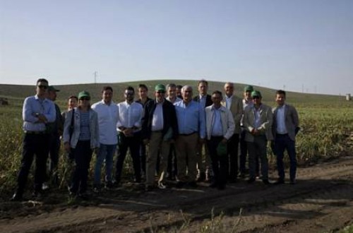 El grupo hispano-franco-italiano de ajo espera una baja producción