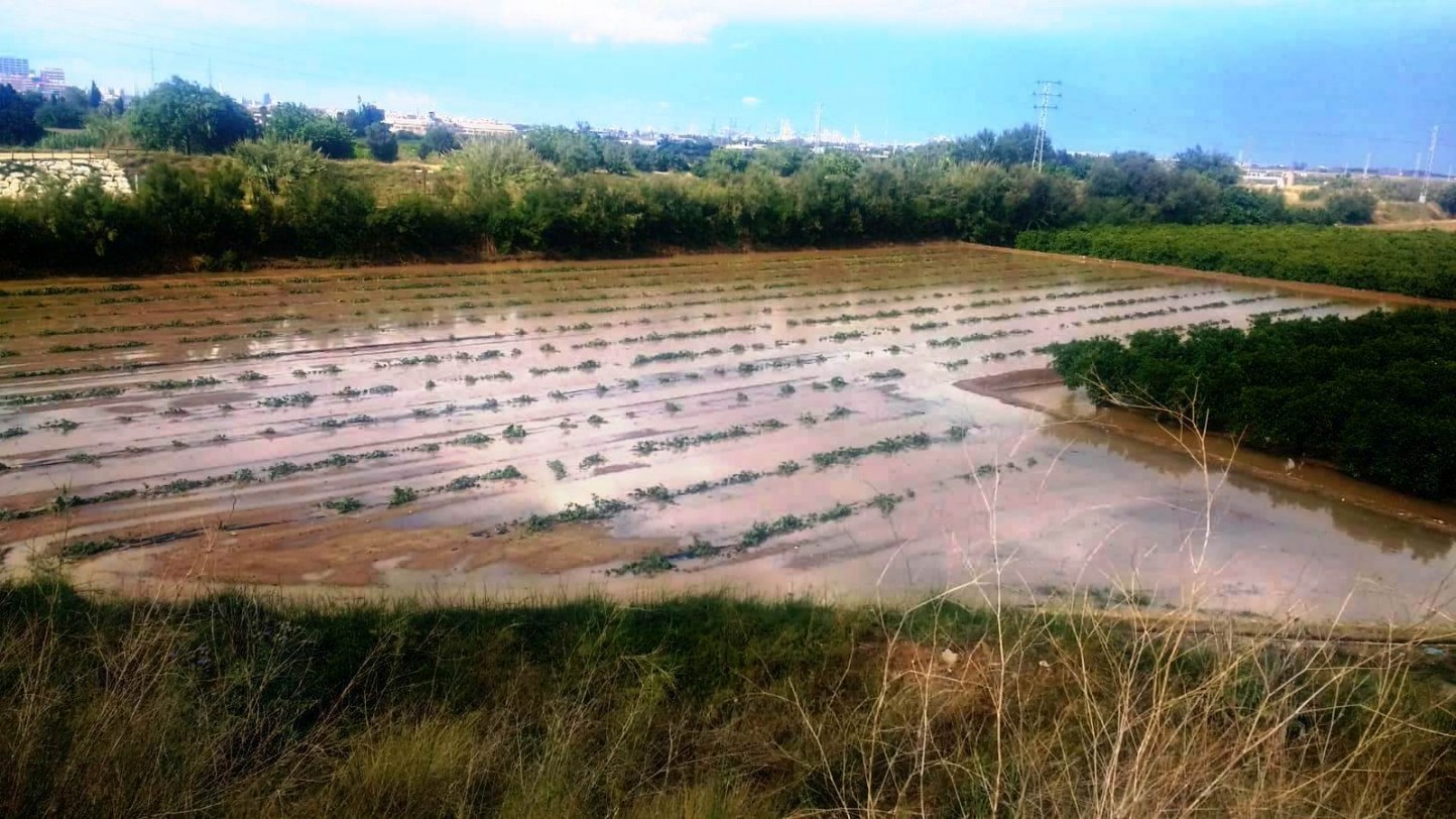 AVA-ASAJA estima en 13 M€ las pérdidas en el campo valenciano por el granizo