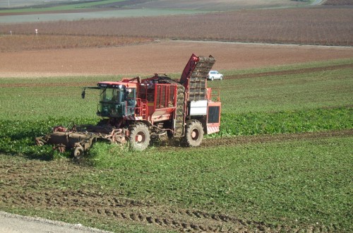 Hogan descarta adoptar medidas contra la “estrategia de precios a la baja” en el mercado UE del azúcar
