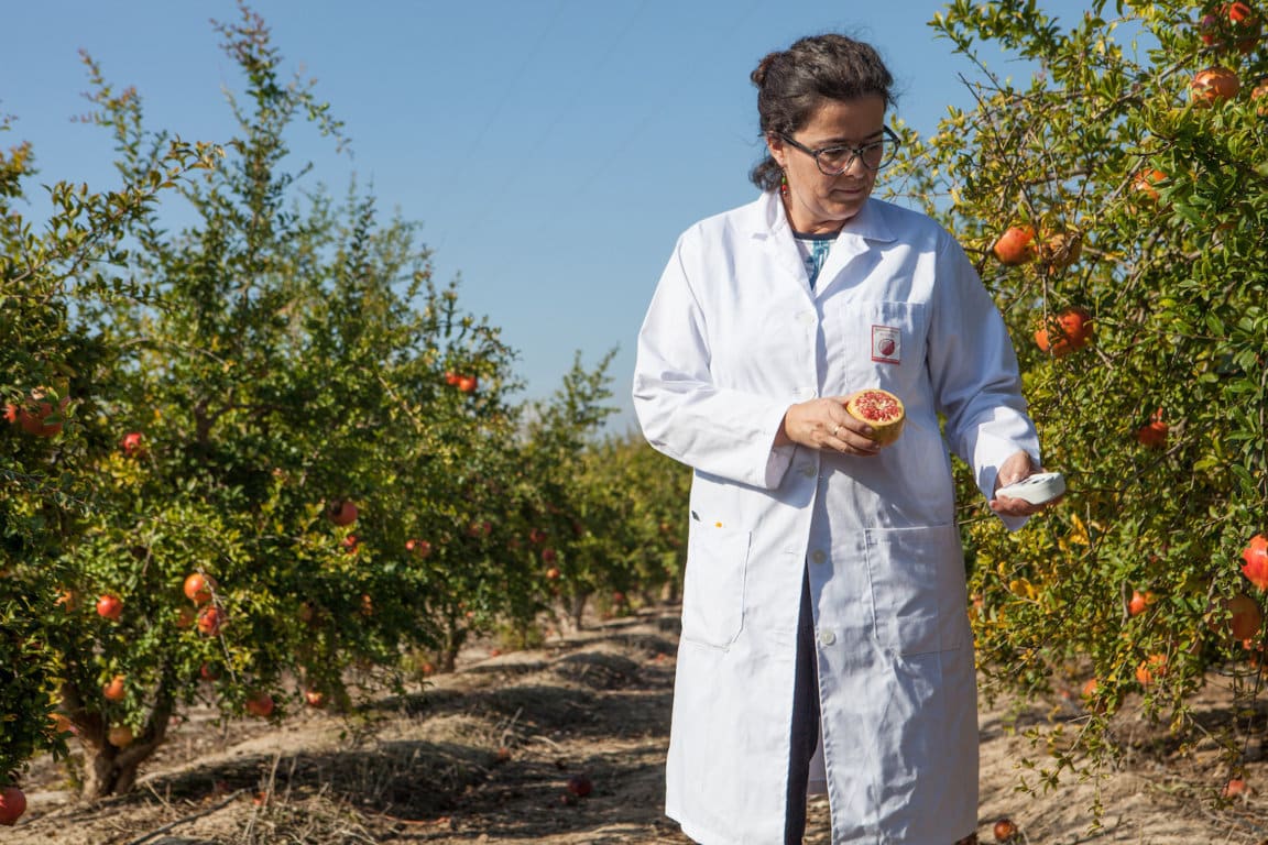 El empleo en el sector de la alimentación crecerá a un ritmo del +1,5% interanual, según la consultora Adecco