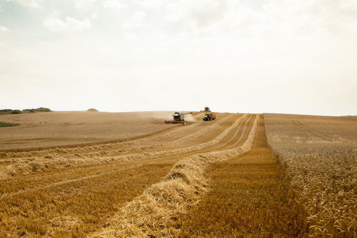 El COPA-Cogeca recorta hasta 273,8 Mt, la previsión de producción de cereales en la UE en 2018/19