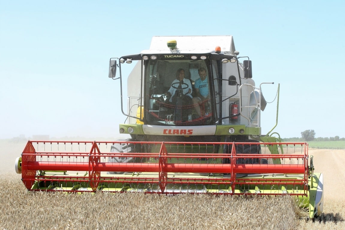 Castilla y León superará los 7 Mt de cereal de invierno en 2018, la segunda mejor cosecha del último lustro