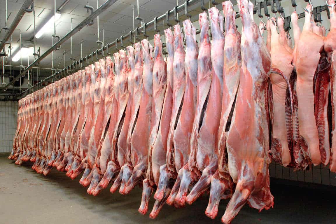 El Gobierno actualiza la clasificación de canales de carne de porcino, vacuno y caprino