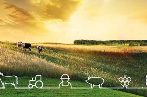 Bruselas espera una producción de cereales un 2,5% más baja en 2018/19 en la UE