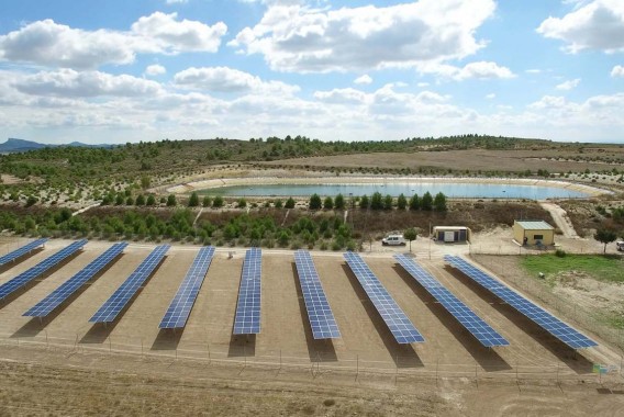 SOS Rural y AEL lanzan una macrocausa judicial contra la instalación de fotovoltaicas en terrenos de cultivo