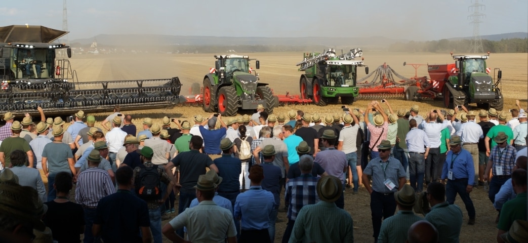 Producción y parámetros agronómicos de las nuevas variedades comerciales de colza de invierno