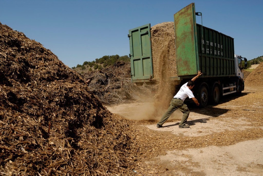 Plan de 12,5 M€ para producir combustible de biomasa sólida por microempresas y pymes de Extremadura