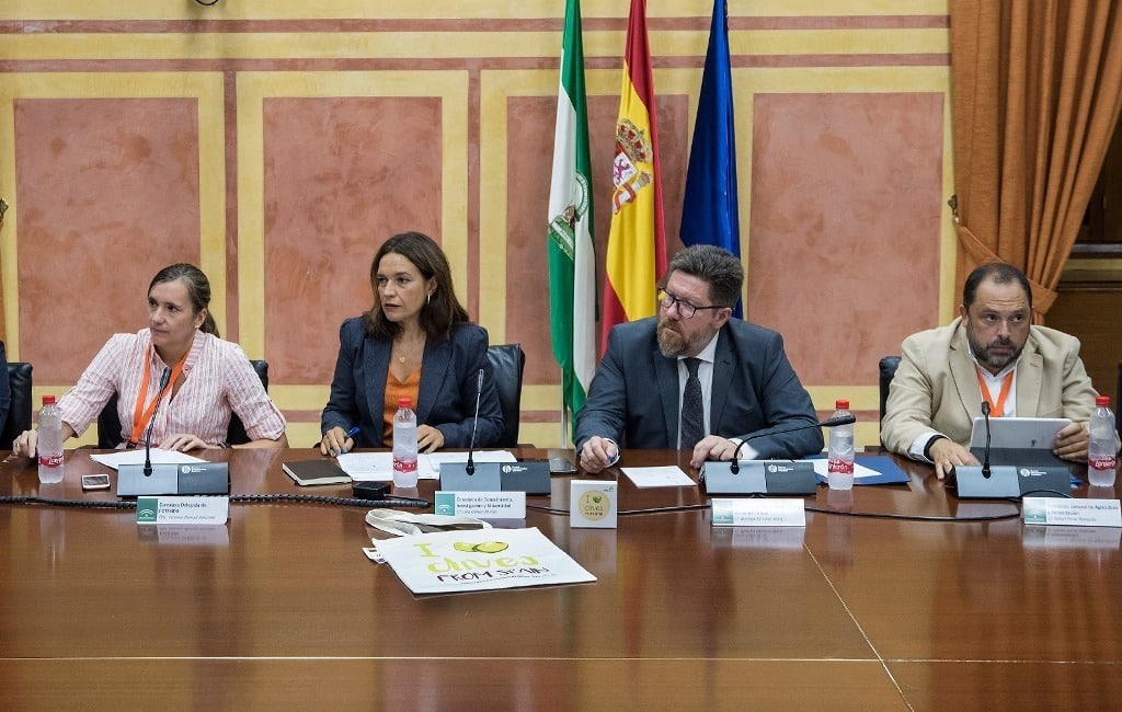 Andalucía eleva a 1,58 M€ los fondos de promoción para la aceituna de mesa en Francia, India y R.Unido