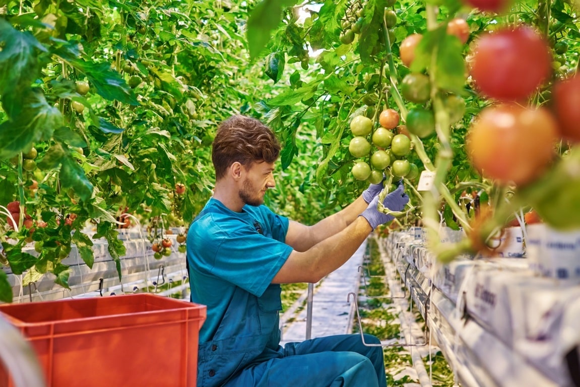Andalucía dispone 30 M€ en ayudas para que los jóvenes creen empresas  agrarias