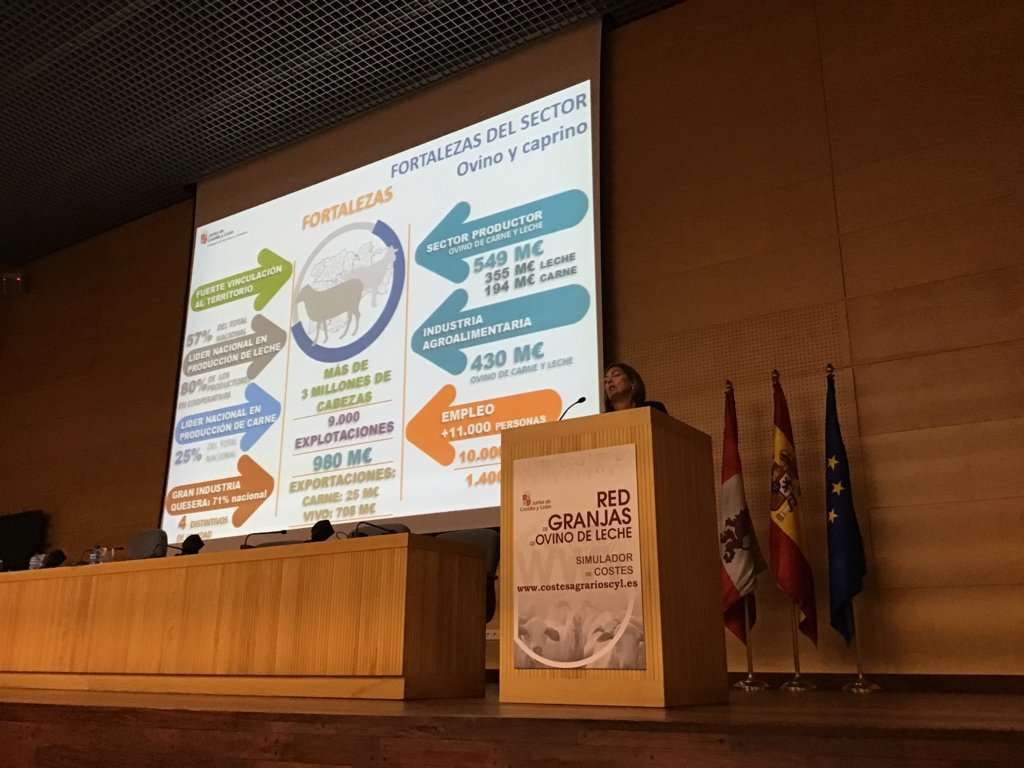 Castilla y León presenta el Simulador de Costes del Ovino para mejor la rentabilidad de las ganaderías