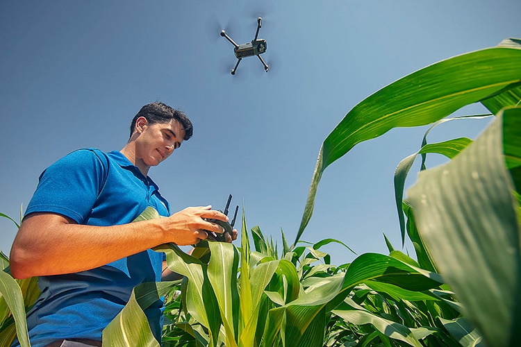 FotoRural 2018 premia la innovación sostenible de agricultores y ganaderos