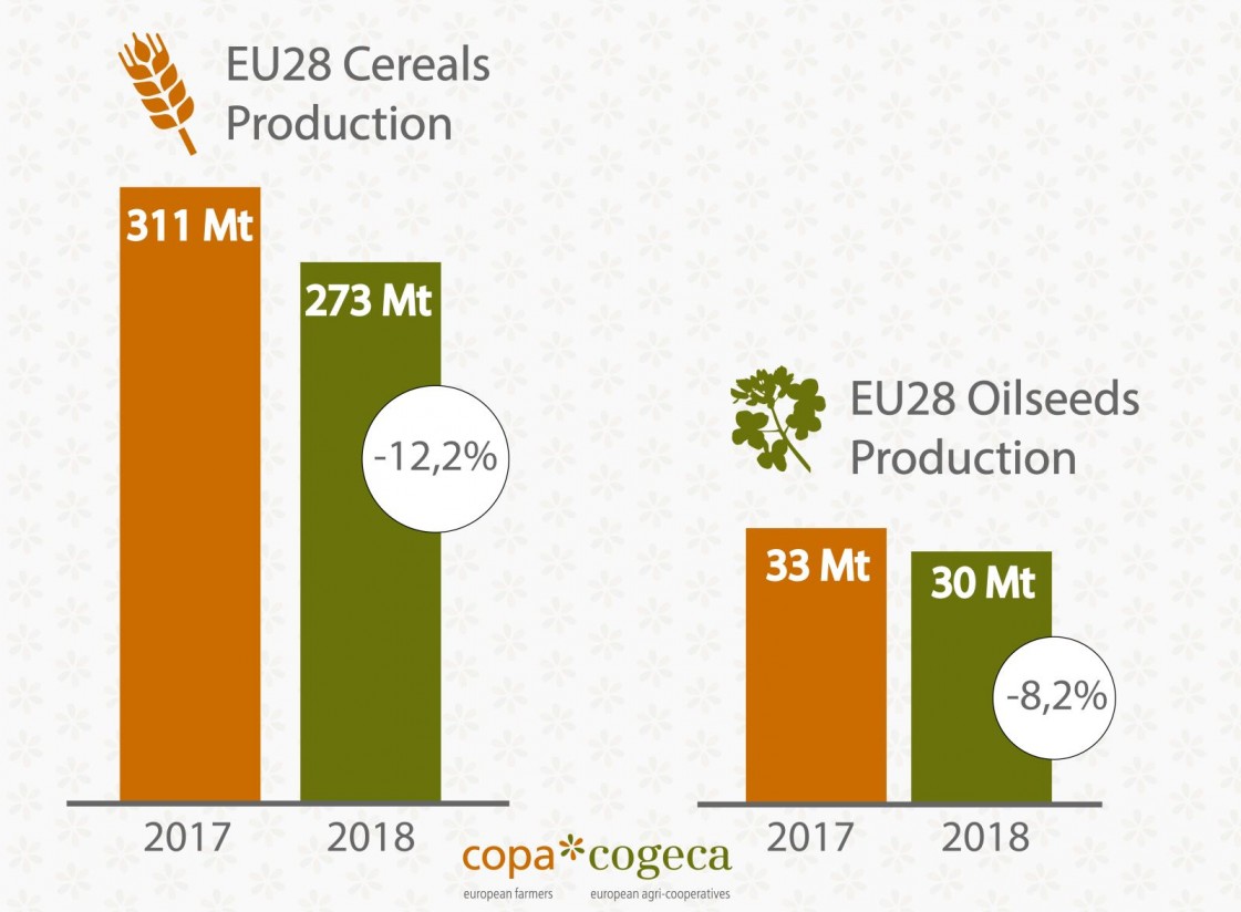 El COPA-Cogeca pide sacar lecciones del descenso de las cosechas de cereales y oleaginosas 2018/19 en la UE