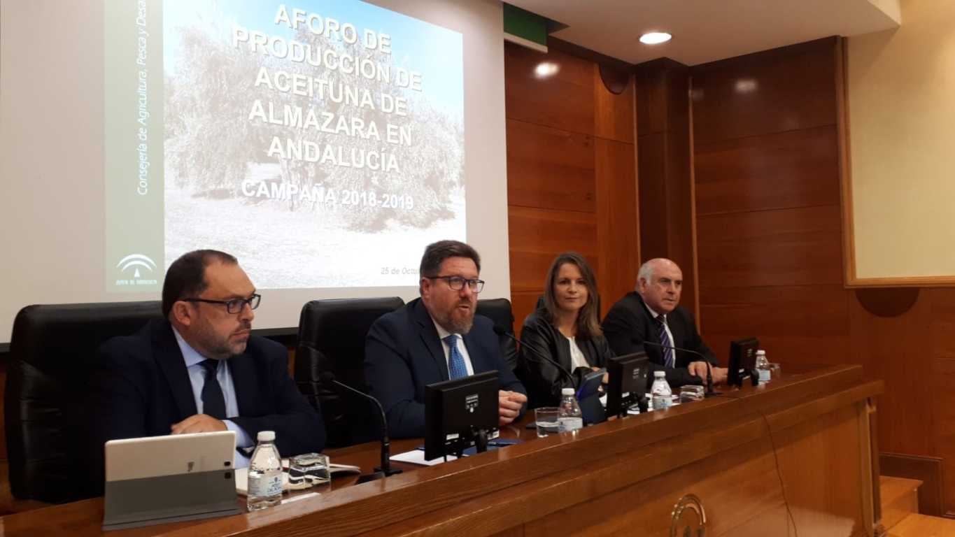 Andalucía prevé más de 1,3 Mt de producción de aceite de oliva en la actual campaña 2018/19