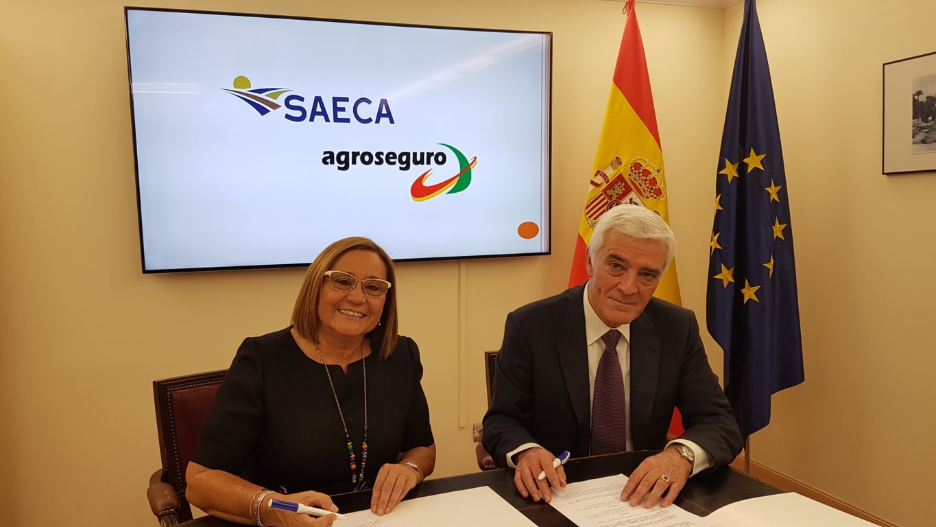 Convenio de ENESA, SAECA y Agroseguro para fraccionar desde 300 € el pago de los seguros agrarios