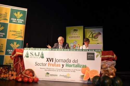 El MAPA avanza entre 7 y 7,2 Mt de producción citrícola en la nueva campaña 2018/19
