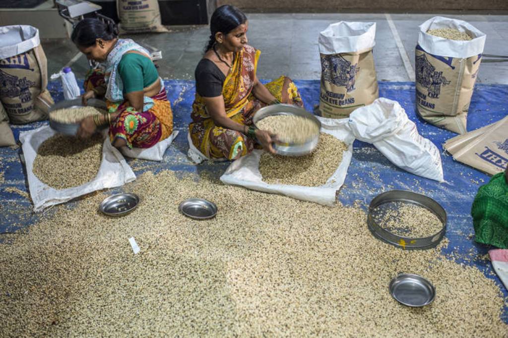 El Índice FAO de Precios mundiales de los alimentos básicos descendió en septiembre