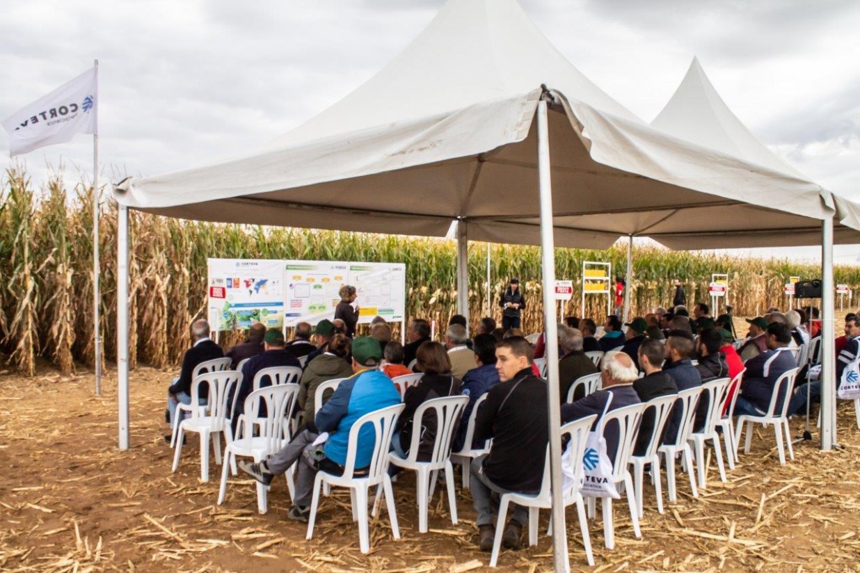 Un millar de agricultores asiste al I Fórum de Maíz de Castilla y León organizado por Corteva Agriscience