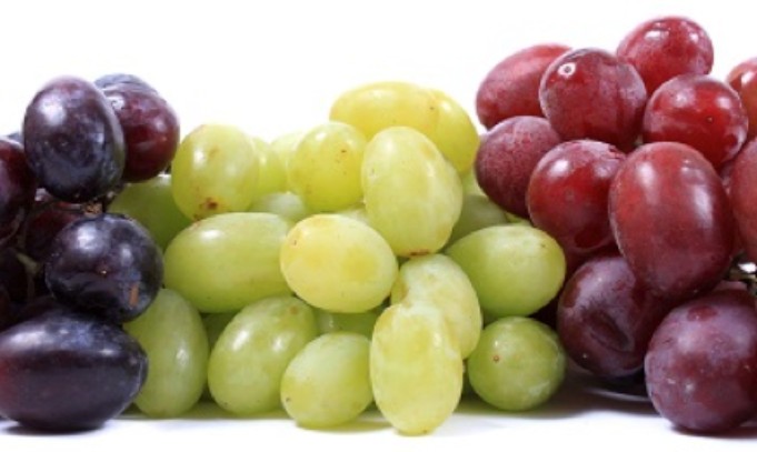 Grape Attraction: la uva sin semilla celebra la V edición de su Congreso en Fruit Attraction