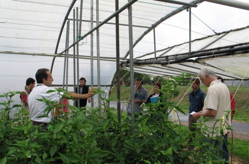 El MAPA aprobará el Primer plan nacional de actuación 2018-2022 sobre los recursos fitogenéticos agrícolas y alimentarios