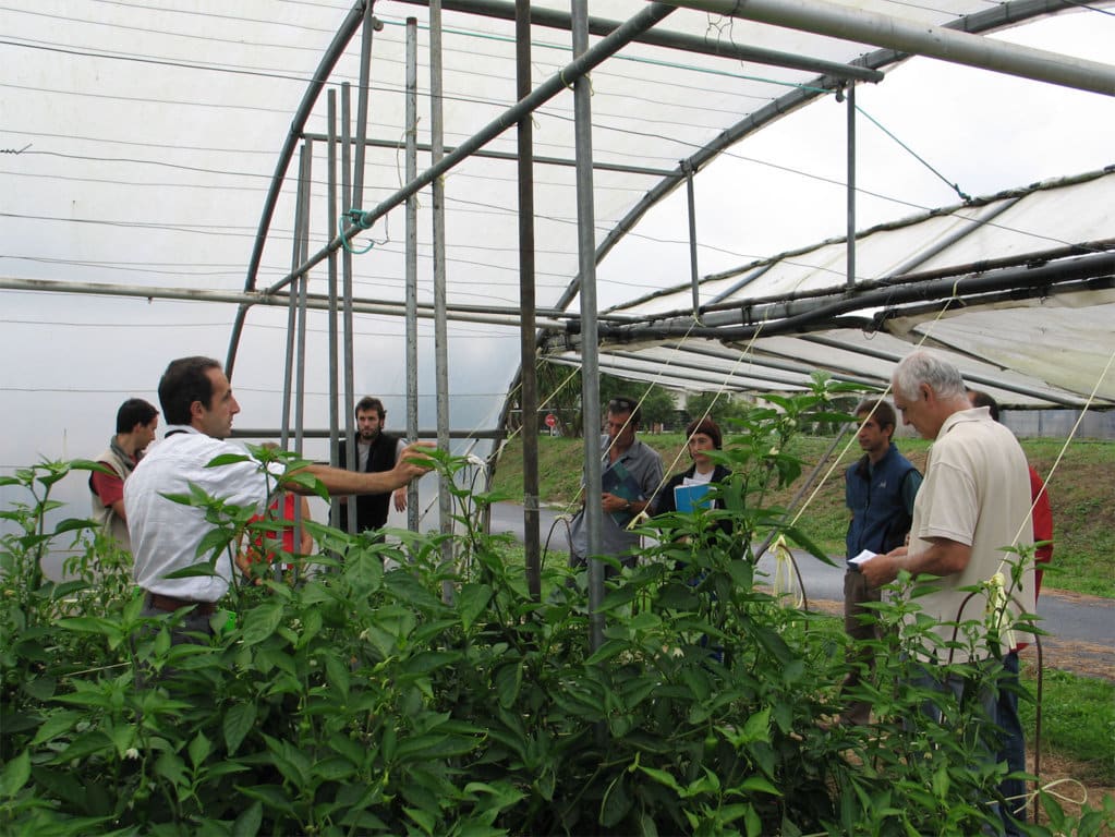 El MAPA aprobará el Primer plan nacional de actuación 2018-2022 sobre los recursos fitogenéticos agrícolas y alimentarios