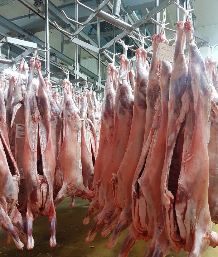 Corderex trabaja con el Grupo Operativo FRILAMB para mejorar la exportación de carne de cordero