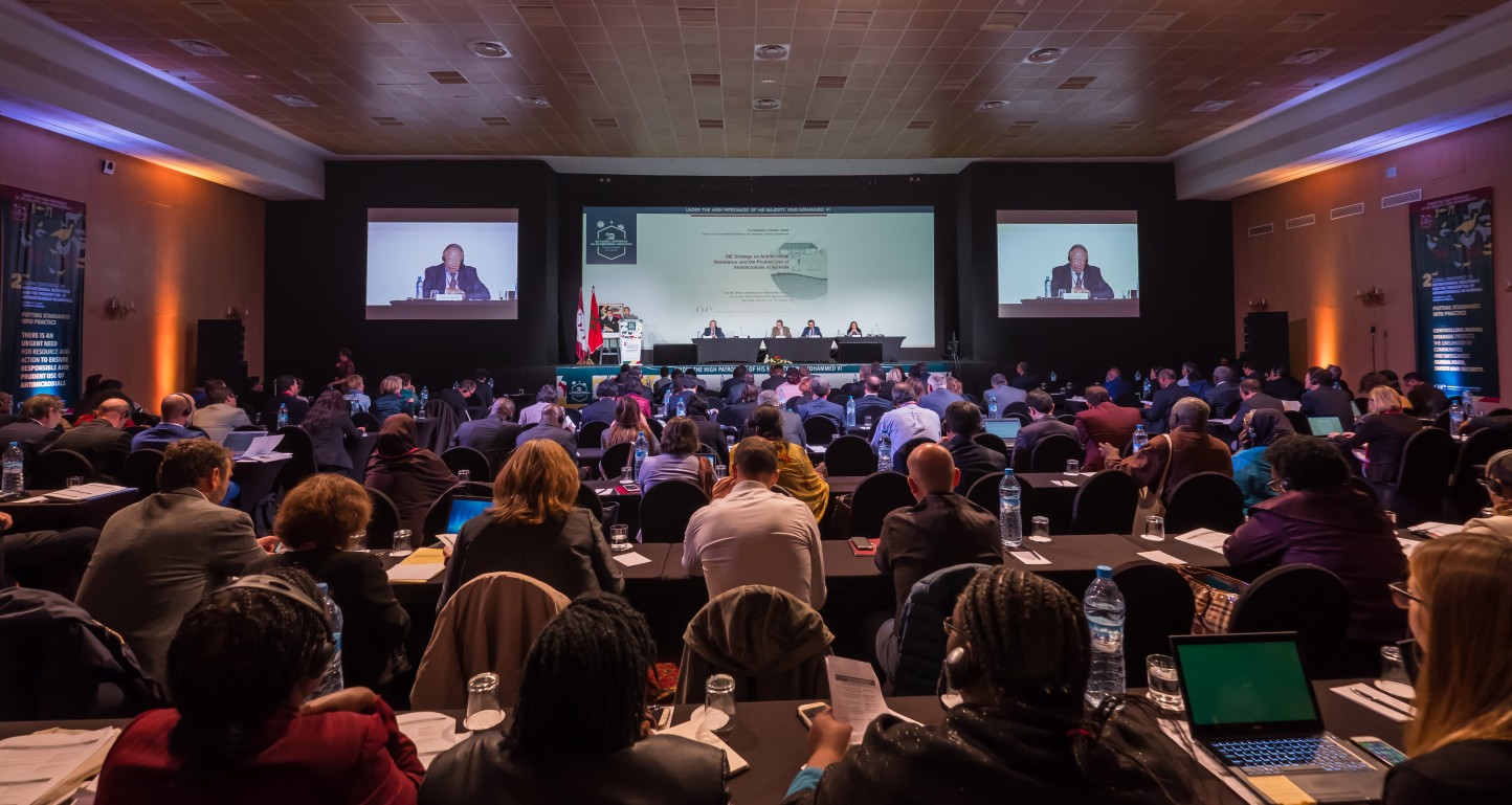 La OIE debate sobre la lucha contra la resistencia antimicrobiana en la ganadería