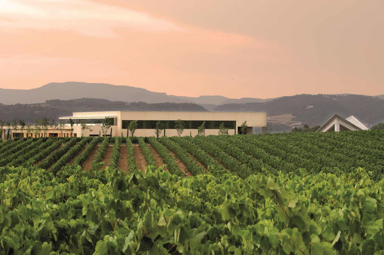 El 15% de las bodegas españolas mantienen un elevado riesgo de impago, según Iberinform