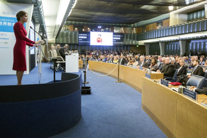 Día Mundial de la Alimentación, Hambre cero en el mundo. Por Jaime Lamo de Espinosa