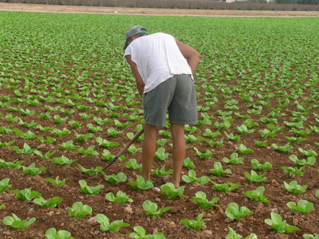 Agricultura ve ya muy probable que UE no apruebe la reforma de la PAC antes de mayo