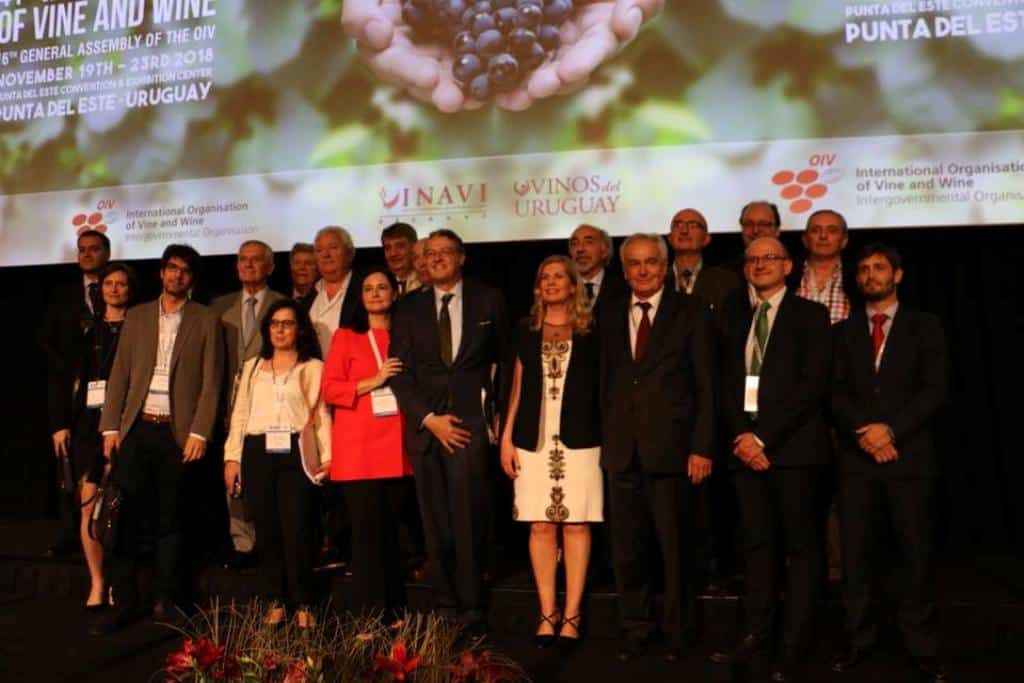 Pau Roca, el primer español elegido director general de la Organización Internacional de la Viña y el Vino