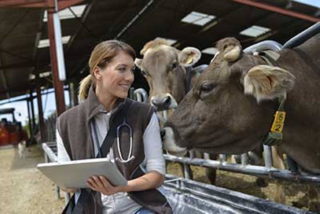 La UE da luz verde a las nuevas normas sobre medicamentos veterinarios y piensos medicamentosos