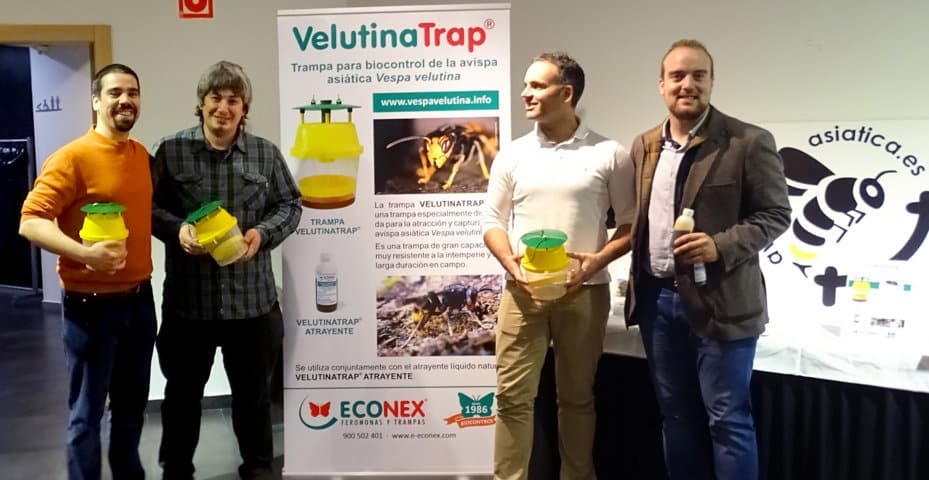 VelutinaTrap, la solución de Econex para la atracción y captura de Vespa velutina