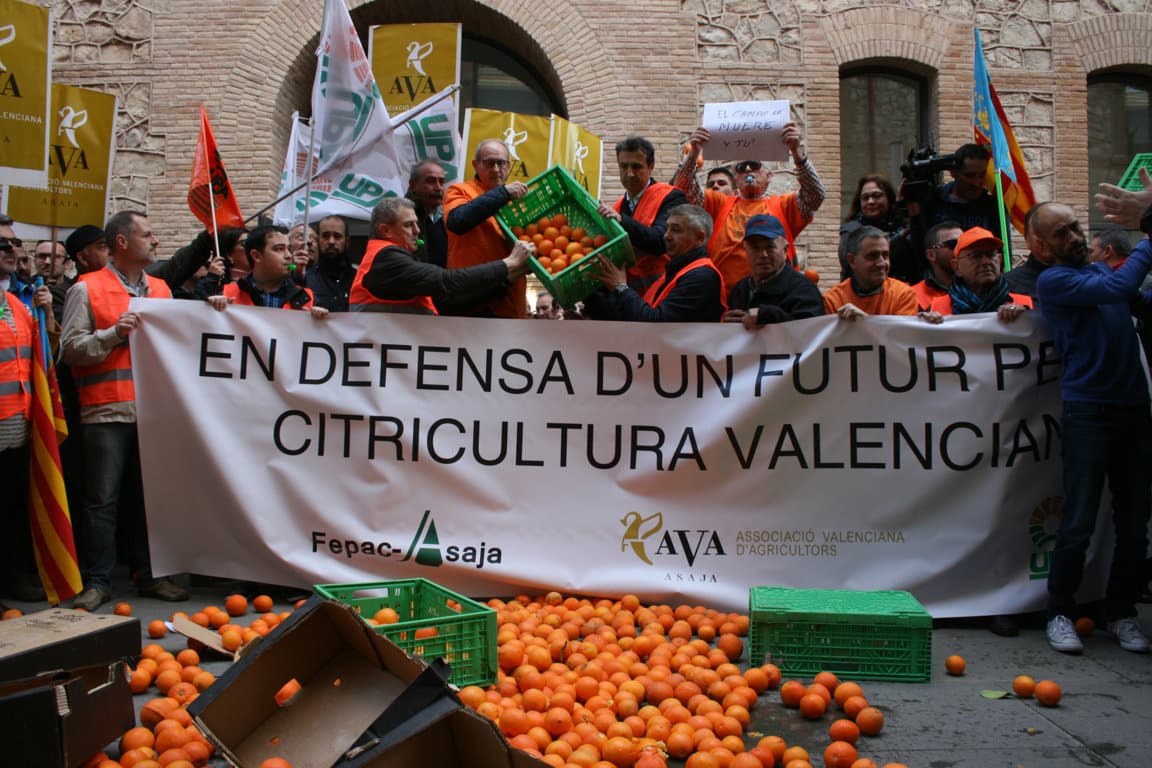 Dos mil citricultores se manifiestan en Valencia para exigir soluciones a la crisis de precios