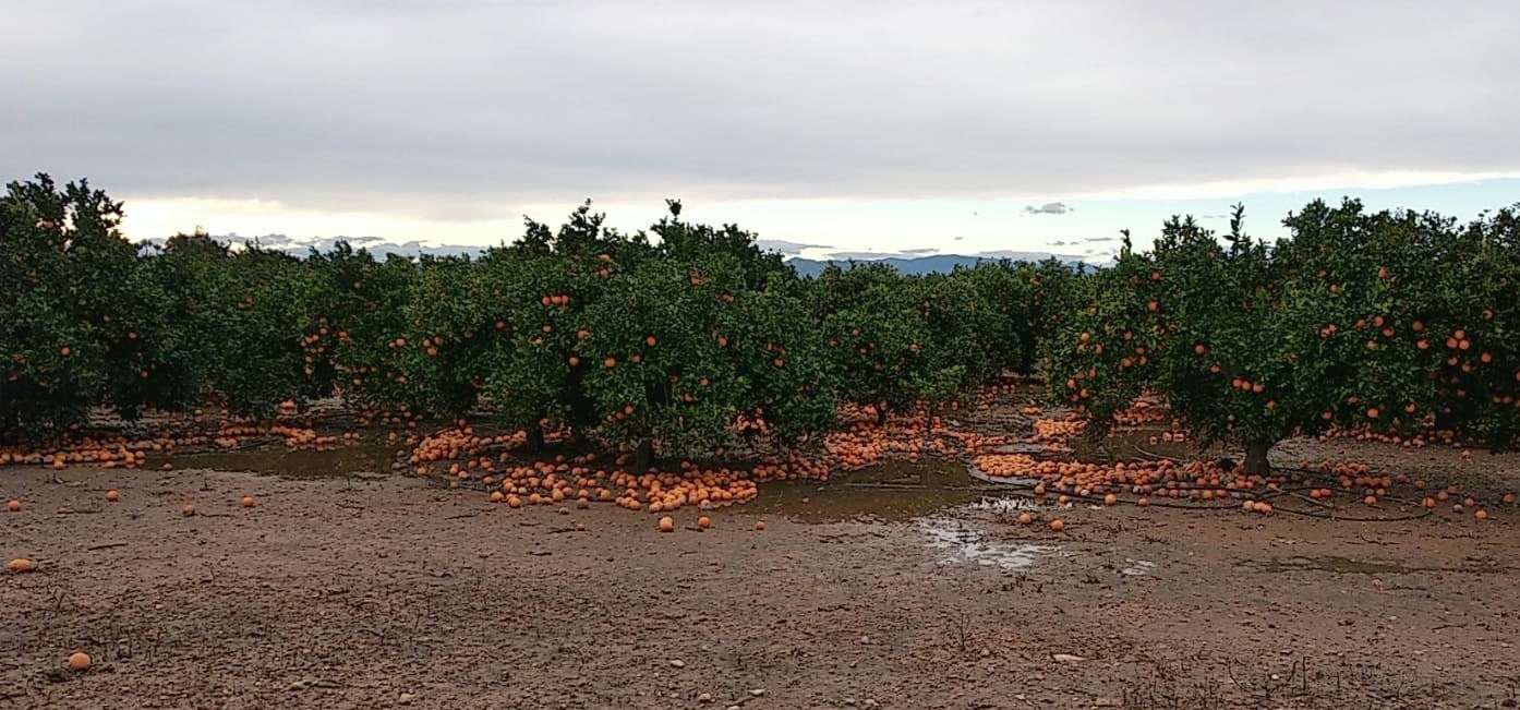 La AEMET pronostica un invierno normal en temperaturas y lluvioso en todo el país