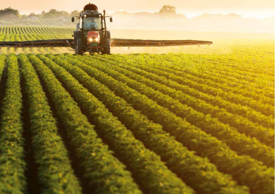 Agricultura edita la publicación “40 años del Sistema Español de Seguros Agrarios”