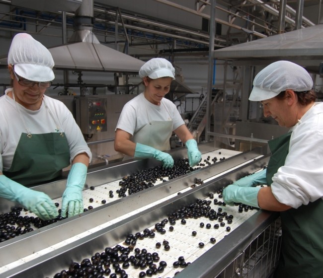 Los aranceles USA a la aceituna negra española llegan por fin ante la Organización Mundial del Comercio