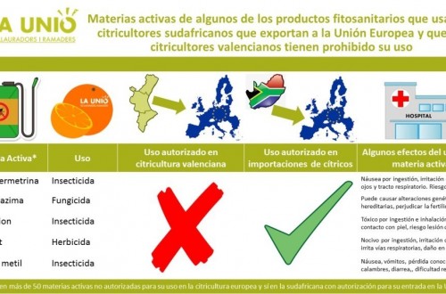 La Unió pide suspender la importación de cítricos de Sudáfrica a la UE por motivos fitosanitarios