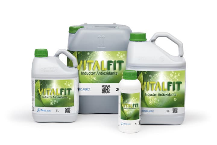 Vitalfit, el primer inductor antioxidante para plantas de Timac Agro