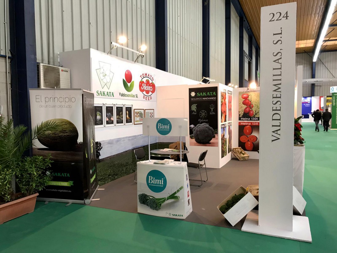 El brócoli, protagonista en Agroexpo con Sakata Seed Ibérica